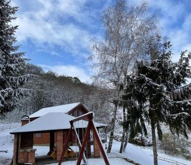Cerevic Ski Chalet | Brvnara Popović
