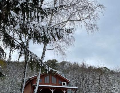 Cerevic Ski Chalet | Brvnara Popović