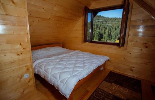Zlatibor Ski Chalet | Brvnara Rajkova koliba - STD Bojovići Zlatar