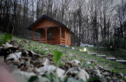 Mladenovac House | Brvnara