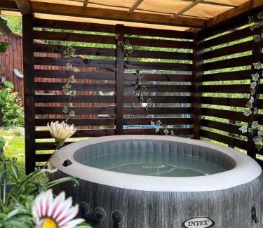 Bajina Basta House | Brvnara Sofiana