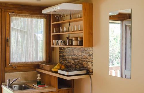 Vrdnik Ski Chalet | Brvnare Ala Vrdnik