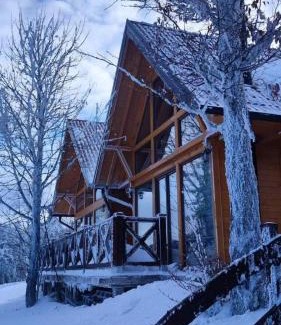 Beserovina House | Brvnare Libero TARA
