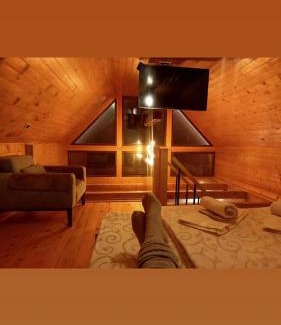 Beserovina House | Brvnare Libero TARA