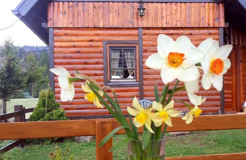 Kremna Cabin | Brvnare Na Brdu