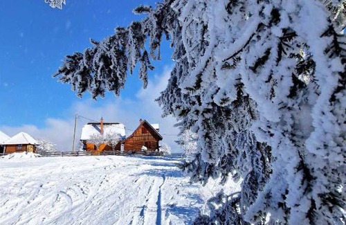 Kremna Cabin | Brvnare Na Brdu