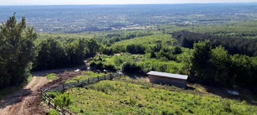 Zdrelo Ski Chalet | Brvnare Tomić 2 i 3