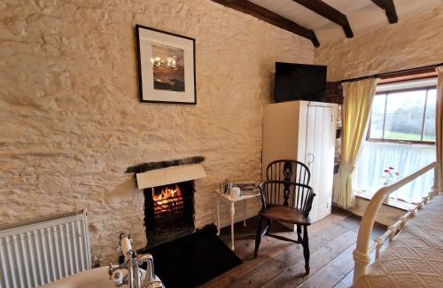 Blaencelyn House | Bryn-y-Gof
