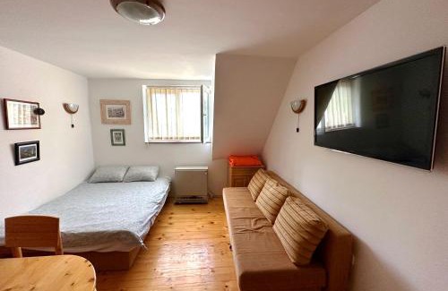 Kopaonik Apartment | Brzeće - Bele staze Nikola