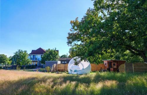 Altlandsberg Other | Bubble Tent by Reindahls