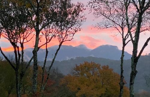 Sugar Mountain House | Buckhorn Lodge