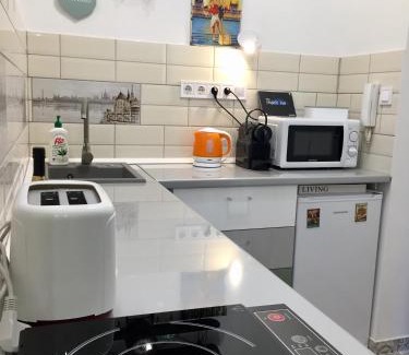 Vizivaros Apartment | Buda Boutique Apartment