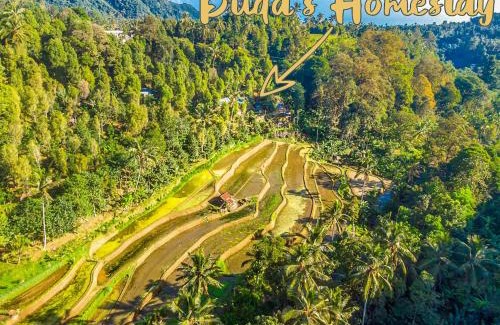 Sawan House | Buda's Homestay Lemukih