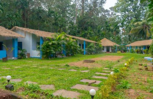 Supa Resort | buddha tree