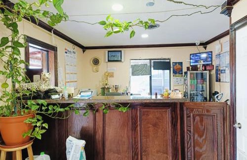 Edinburg Hotel | Budget Inn By OYO Edinburg Hwy 281