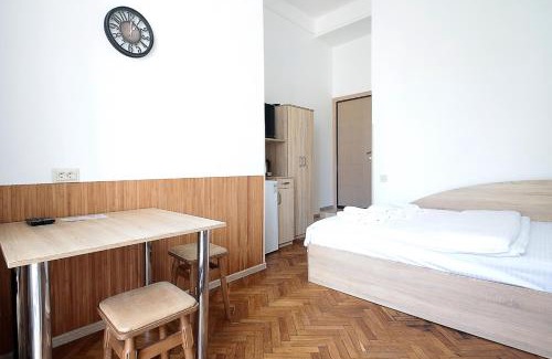 Lviv City Center Apartment | Buk Apartments on Doroshenka 29
