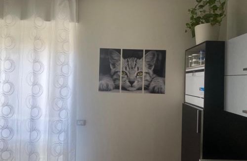 Alba Apartment | Bumbunin