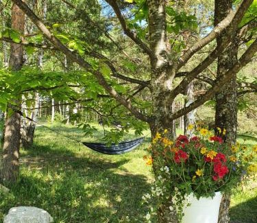 Divcibare Ski Chalet | Bungalov Zahej Divčibare