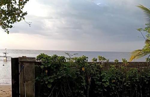 Lovina Hotel | Bungalow Mudri Lovina