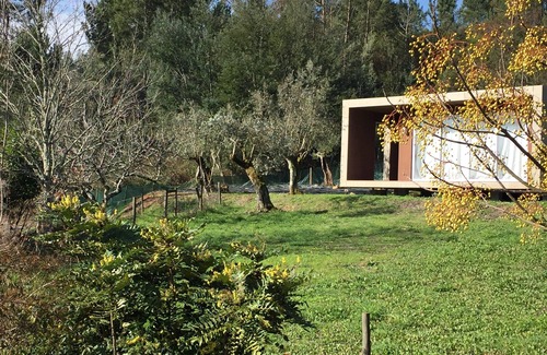 Casal de Ermio House | Bungalow your refuge in the Serra da Lousã | Nature, Adventure & Tranquillity.