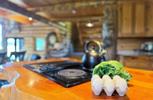 Island Park Cabin | Burley Bear on IP Golf Course, Free Wifi, 2Br + Loft, Private HotTub, 25 Mins to YNP