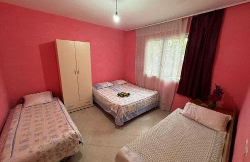 Durres House | Bushi Rooms