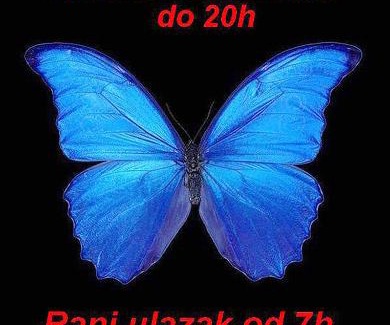Jagodina Apartment | Butterfly Apartment