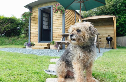 Kilgetty Other | Buttles Shepherd's Hut
