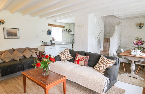 Llandeilo Cottage | Buzzards Watch