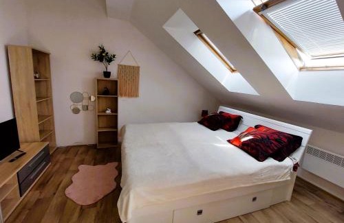 Hradec Kralove Apartment | Byt Komenskeho #2# v historickém centru Hradec Králově