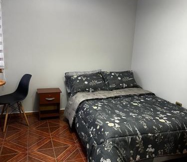 Temuco Apartment | Cómodo departamento un ambiente, Depto 2 Los Sauces