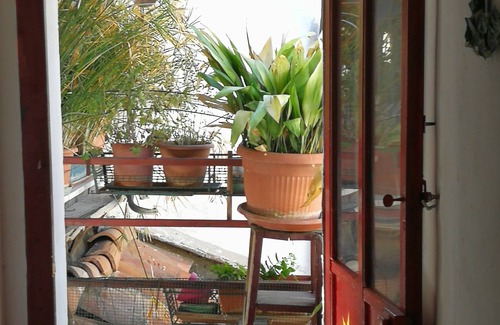 Old Town Apartment | CA POMPOSA bed & relax