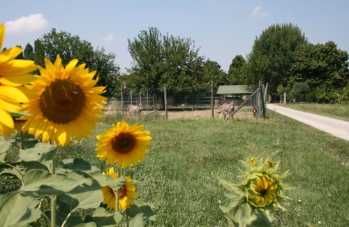 Crespellano House | Cà Stanga rustic apartment on the farm 2km exit Valsamoggia (Bologna) A1