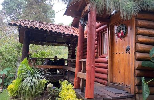 Mazamitla House | Cabaña Antonella
