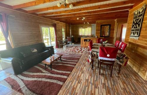 Lenca House | Cabaña con árboles nativos en su patio.