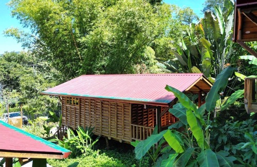 Samara House | Cabaña Arbolito