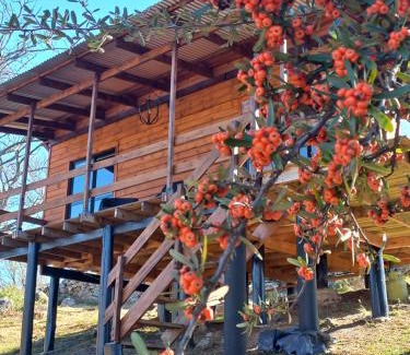 San Clemente House | Cabaña de Campo - Valle de Calamuchita - Sierras de Córdoba