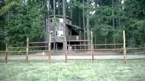 White Salmon House | Cabaña del árbol situado en el bosque del Monte Adams en Washington