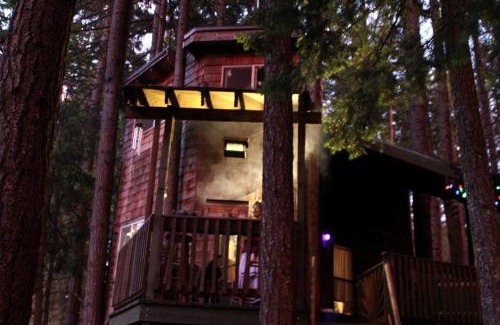 White Salmon House | Cabaña del árbol situado en el bosque del Monte Adams en Washington