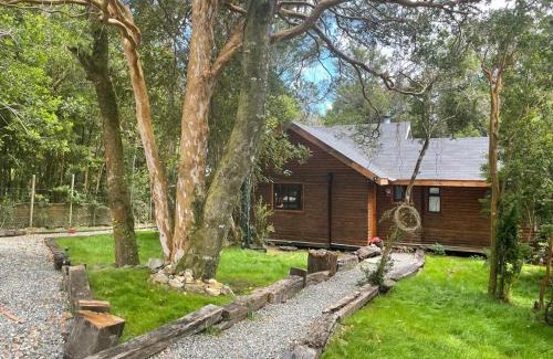 Valdivia House | Cabaña del bosque con estero