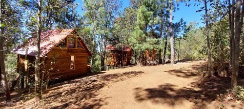 San Jose del Pacifico Ski Chalet | Cabaña en el Bosque de San José del Pacífico 3