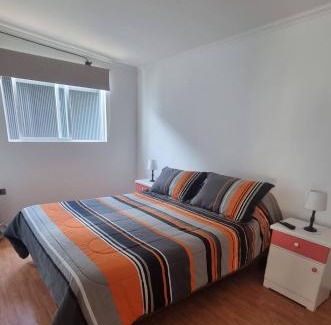 Valdivia Apartment | Cabaña en pleno centro