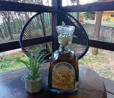 Tequila Other | CABAÑA LA MAYAHUEL