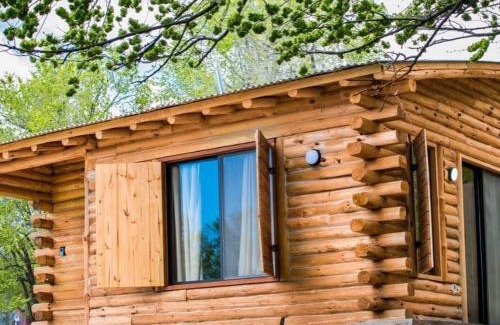 Tunuyan House | Cabaña Manzano Historico Punta Negra Lodge 1