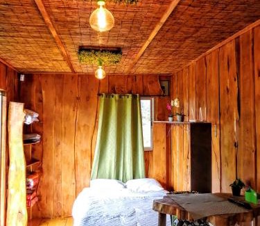 Concepcion Ski Chalet | Cabaña Mountain View