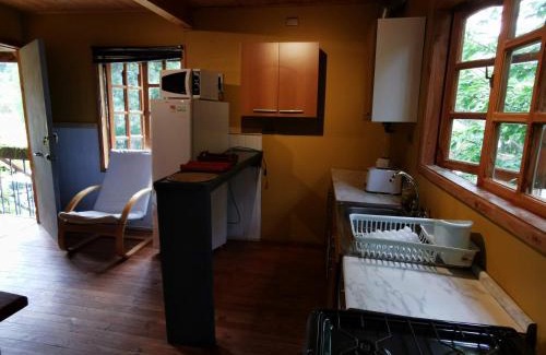 Conaripe House | Cabaña Pudomo en Coñaripe - Cercana al lago