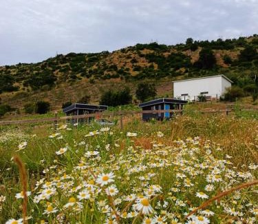 Santa Cruz Villa | Cabaña SANTACRUZ-LAPATAGUA