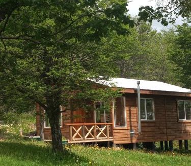 Coyhaique Ski Chalet | Cabaña Turismo EL SUSURRO
