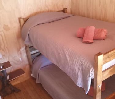 Lonquimay Apartment | Cabañas Aliwen Lonquimay