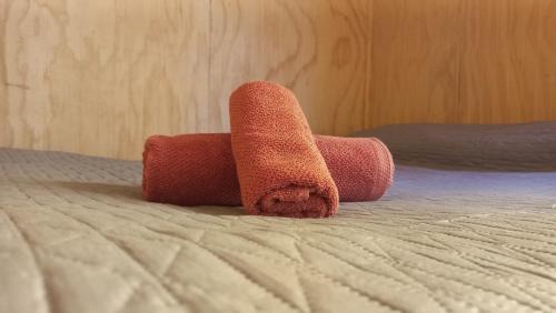 Lonquimay Apartment | Cabañas Aliwen Lonquimay